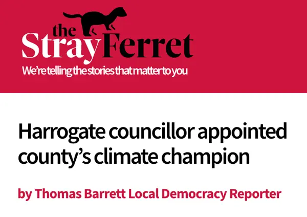 The Stay Ferret Clipping